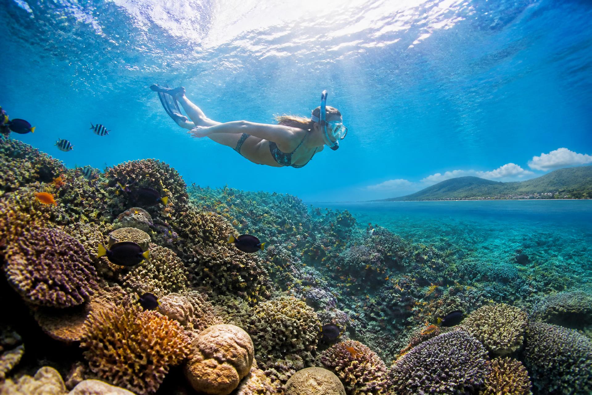 Snorkeling above the coral reef in Amed, Bali